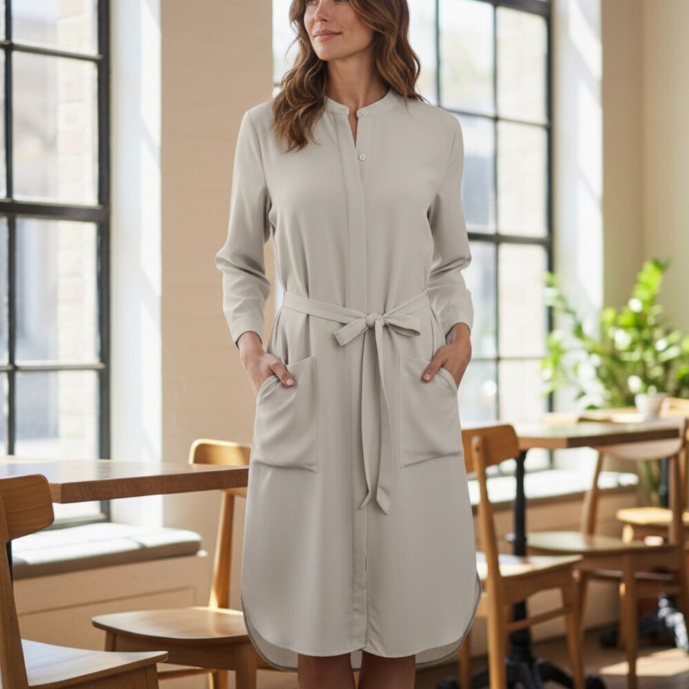 Eileen Fisher Belted Shirt Dress Sz Medium Long Sleeve Career Office Minimalist
